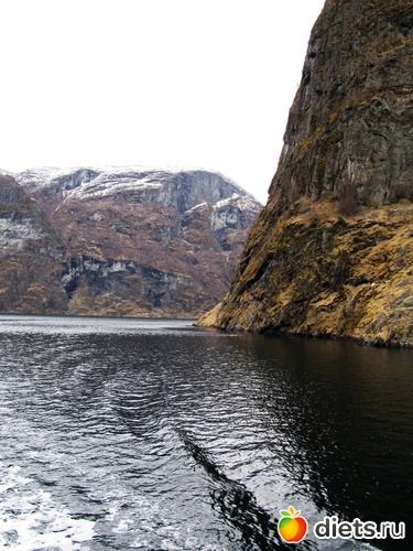 ����������, ������: ����������� �� ��������