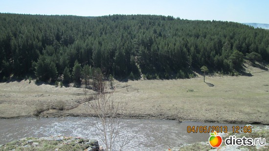 5 ����: ����-�������