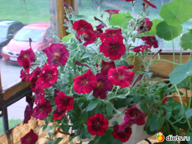 1 ����: ��� �����