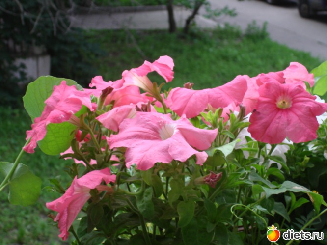 2 ����: ��� �����