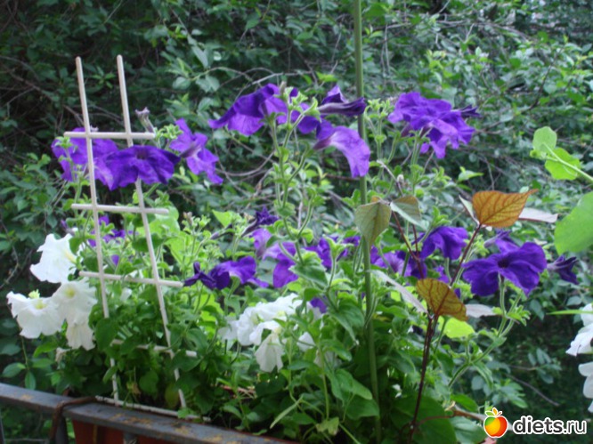 3 ����: ��� �����