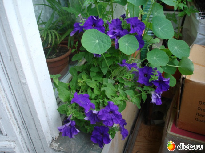 5 ����: ��� �����