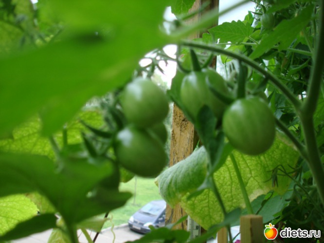 6 ����: ��� �����