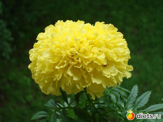 8 ����: ��� �����