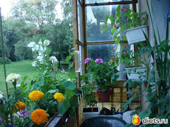 10 ����: ��� �����