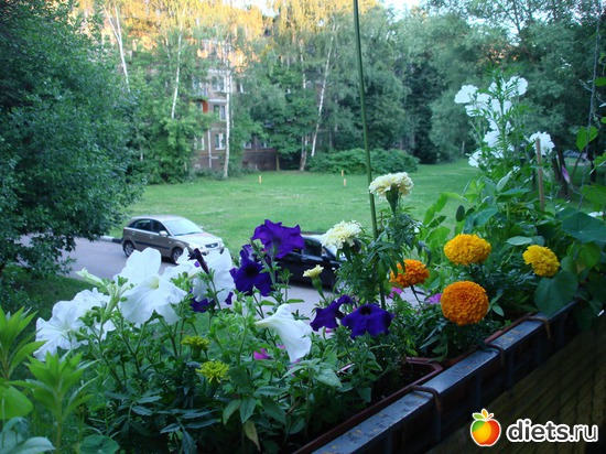 11 ����: ��� �����