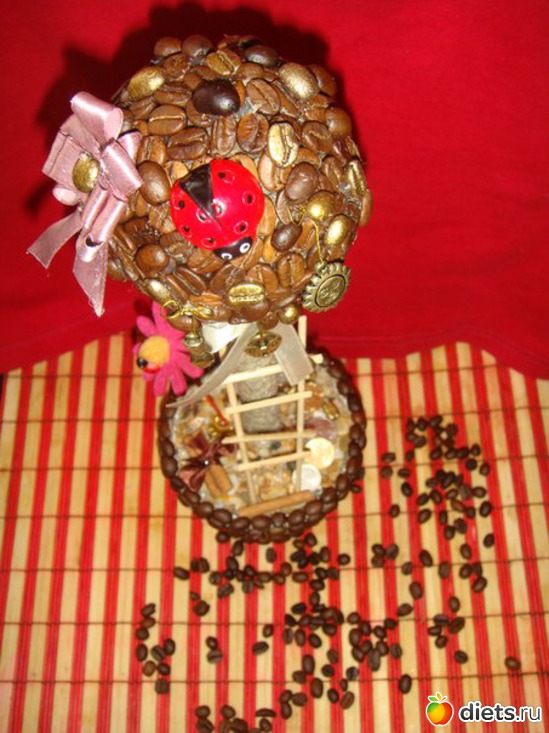 5 ����: �Ψ ����������