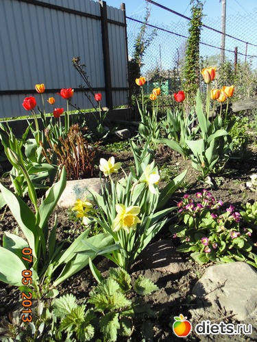 33 фото: просто