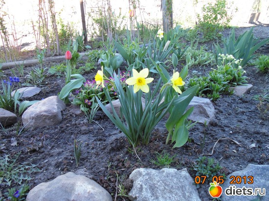 34 фото: просто