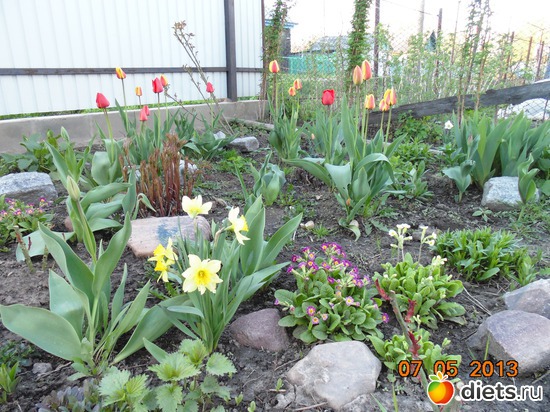 35 фото: просто