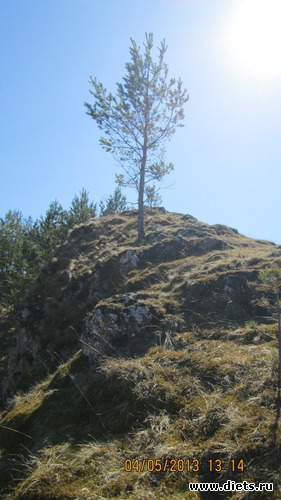 16 ����: ����-�������