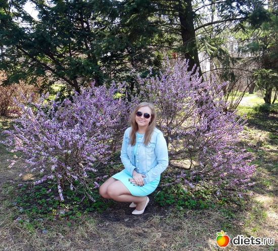 2 ����: ����� �