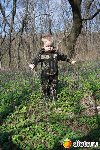 6 ����: ��� �����