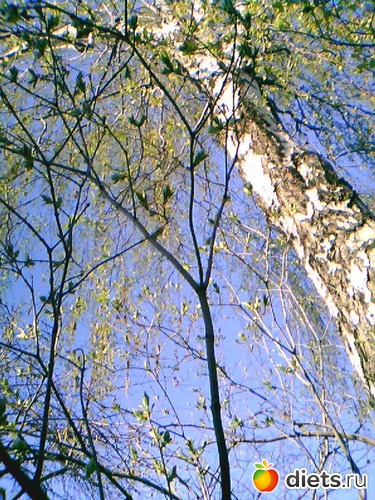 Высокое коломенское небо, альбом: Коломна