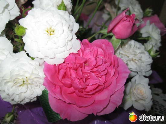 33 фото: Королева сада