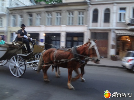 20 ����: ������