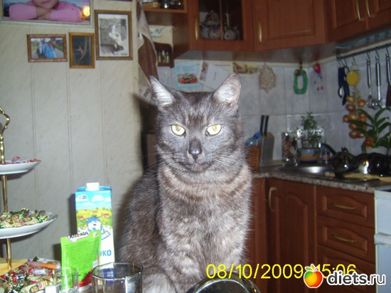 �������!, ������: ��� �����!