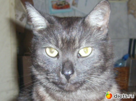 �������! ., ������: ��� �����!