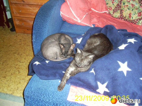 ����� � �����!, ������: ��� �����!