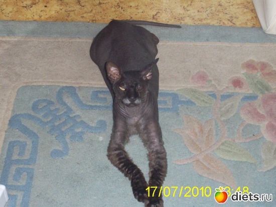 �����, ������: ��� �����!