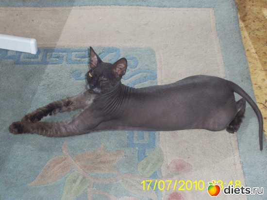 �����!, ������: ��� �����!