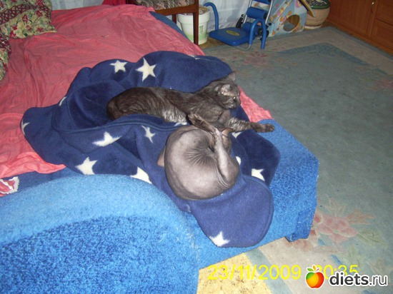 6 ����: ��� �����!