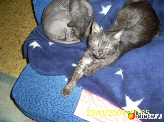 7 ����: ��� �����!