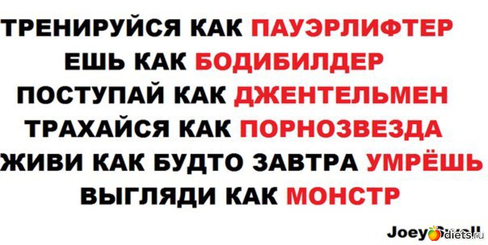 442 ����: ��� ������