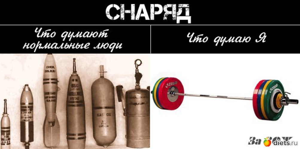 445 ����: ��� ������