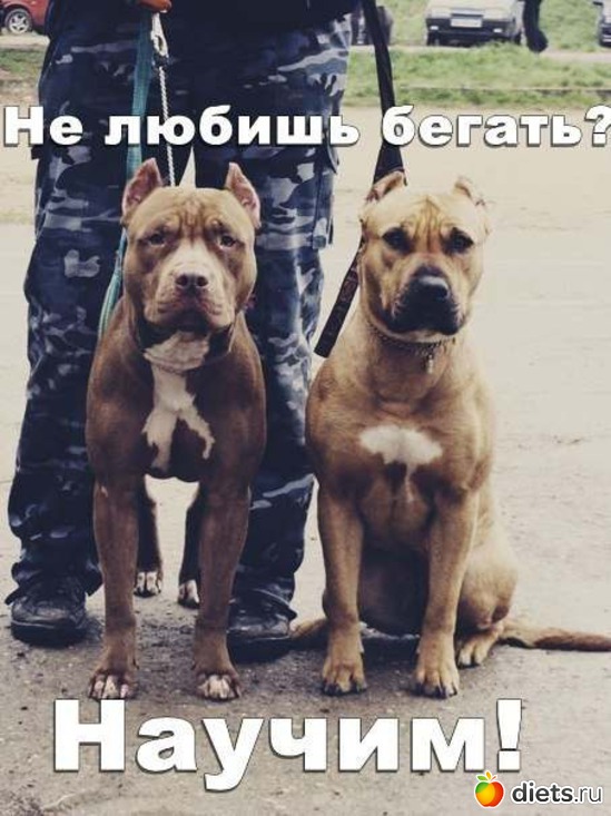 452 фото: Для постов