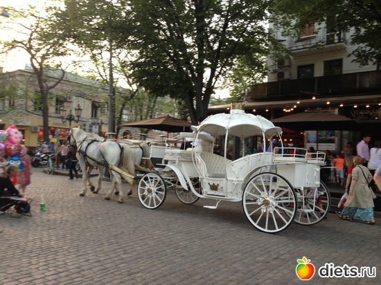 25 ����: ������