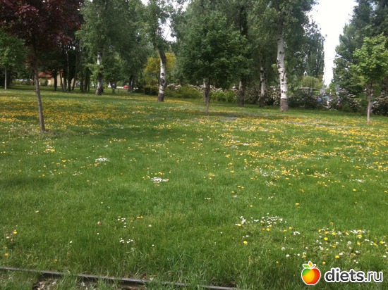 1 ����: �����  ���� � ����