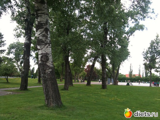 3 ����: �����  ���� � ����