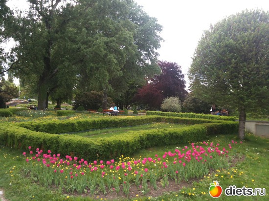 4 ����: �����  ���� � ����