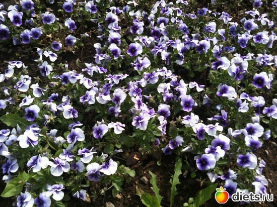 6 ����: �����  ���� � ����