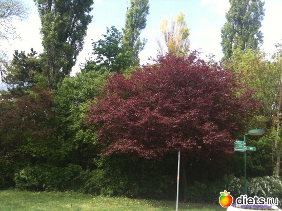 10 ����: �����  ���� � ����