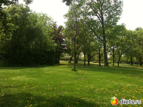 11 ����: �����  ���� � ����