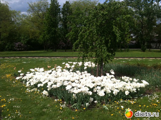 12 ����: �����  ���� � ����