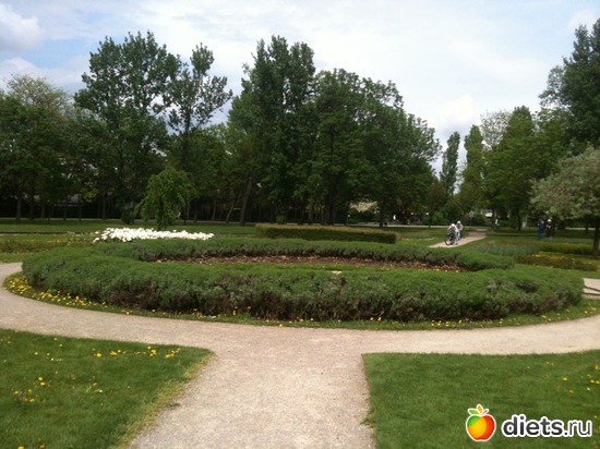 13 ����: �����  ���� � ����