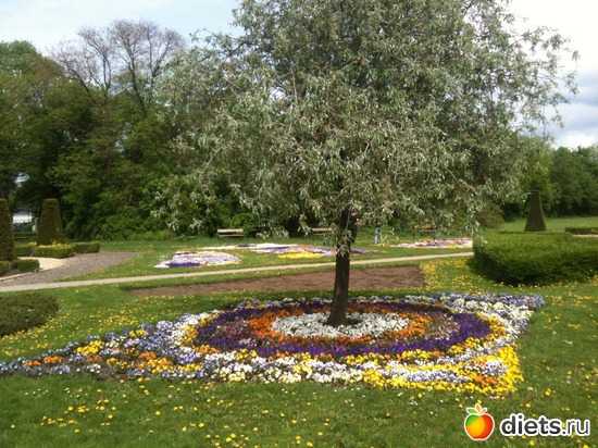 14 ����: �����  ���� � ����