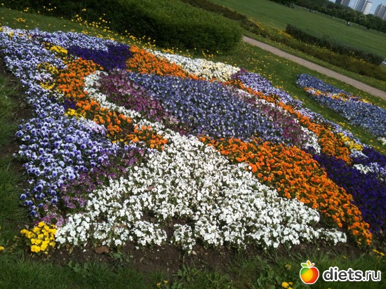 15 ����: �����  ���� � ����