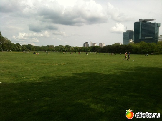 16 ����: �����  ���� � ����