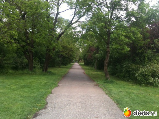 18 ����: �����  ���� � ����