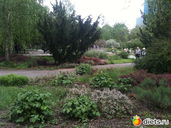 19 ����: �����  ���� � ����