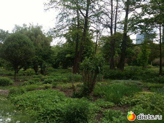 20 ����: �����  ���� � ����