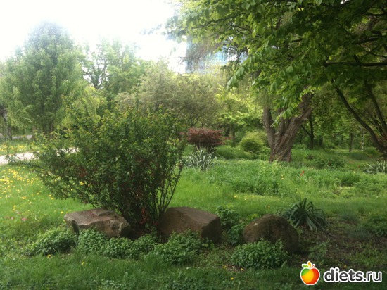 21 ����: �����  ���� � ����