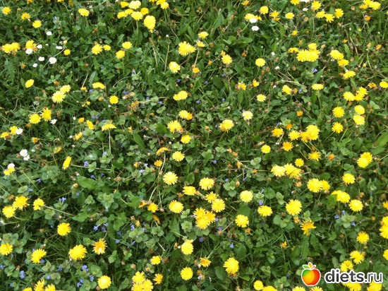 22 ����: �����  ���� � ����