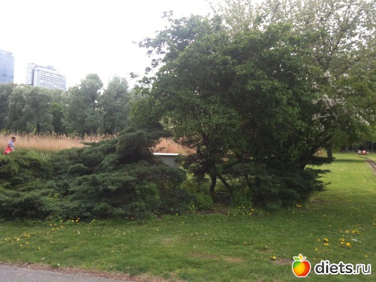 23 ����: �����  ���� � ����