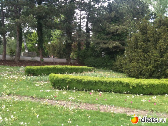 24 ����: �����  ���� � ����