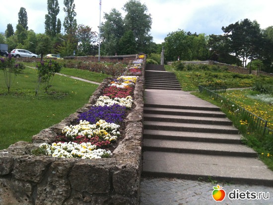 25 ����: �����  ���� � ����